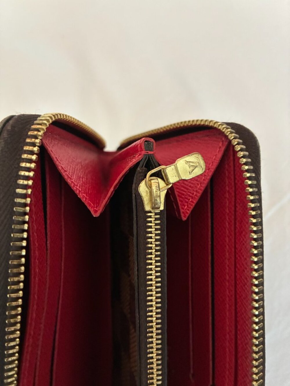 Clémence Wallet - Picture 5 of 11